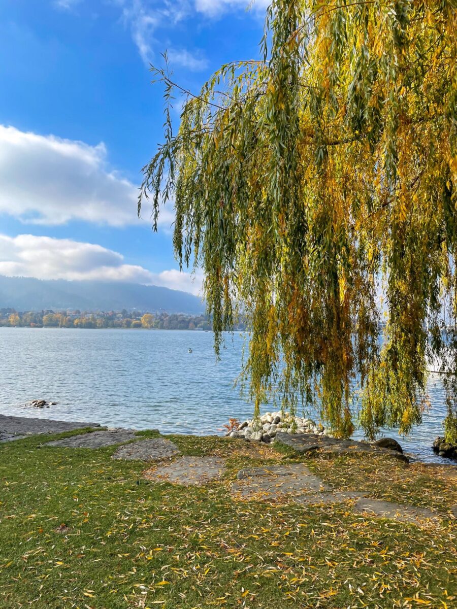 zurich fall