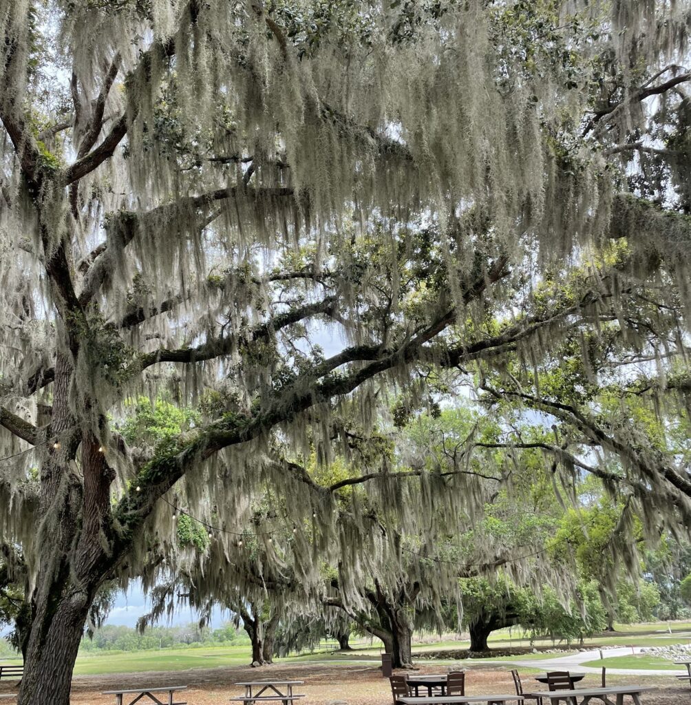 villages florida
