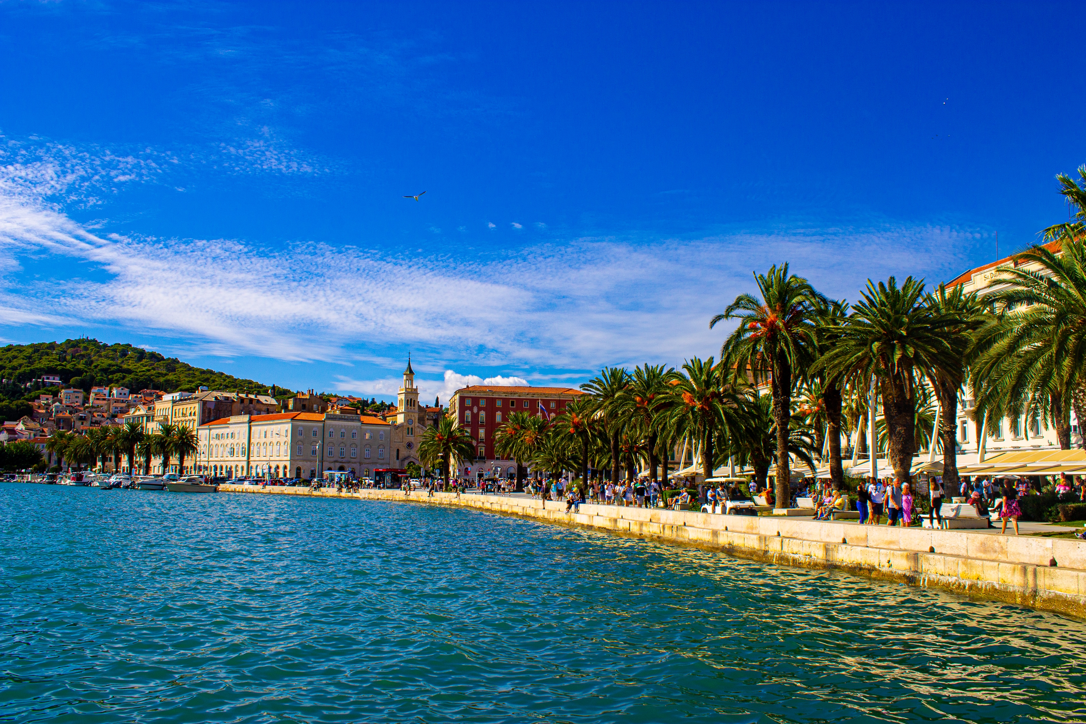 Split Croatia harbor