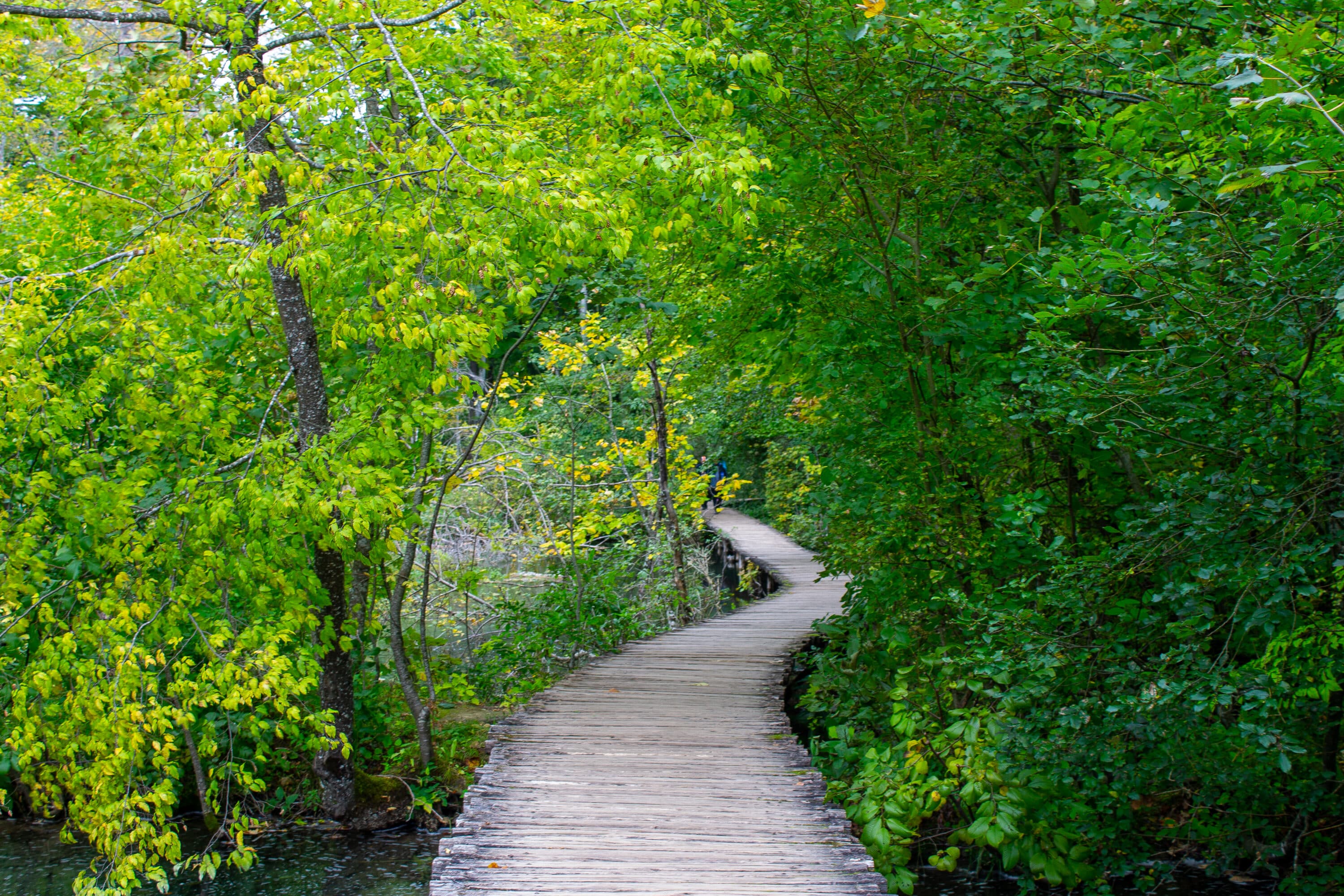 Plitvice lakes path