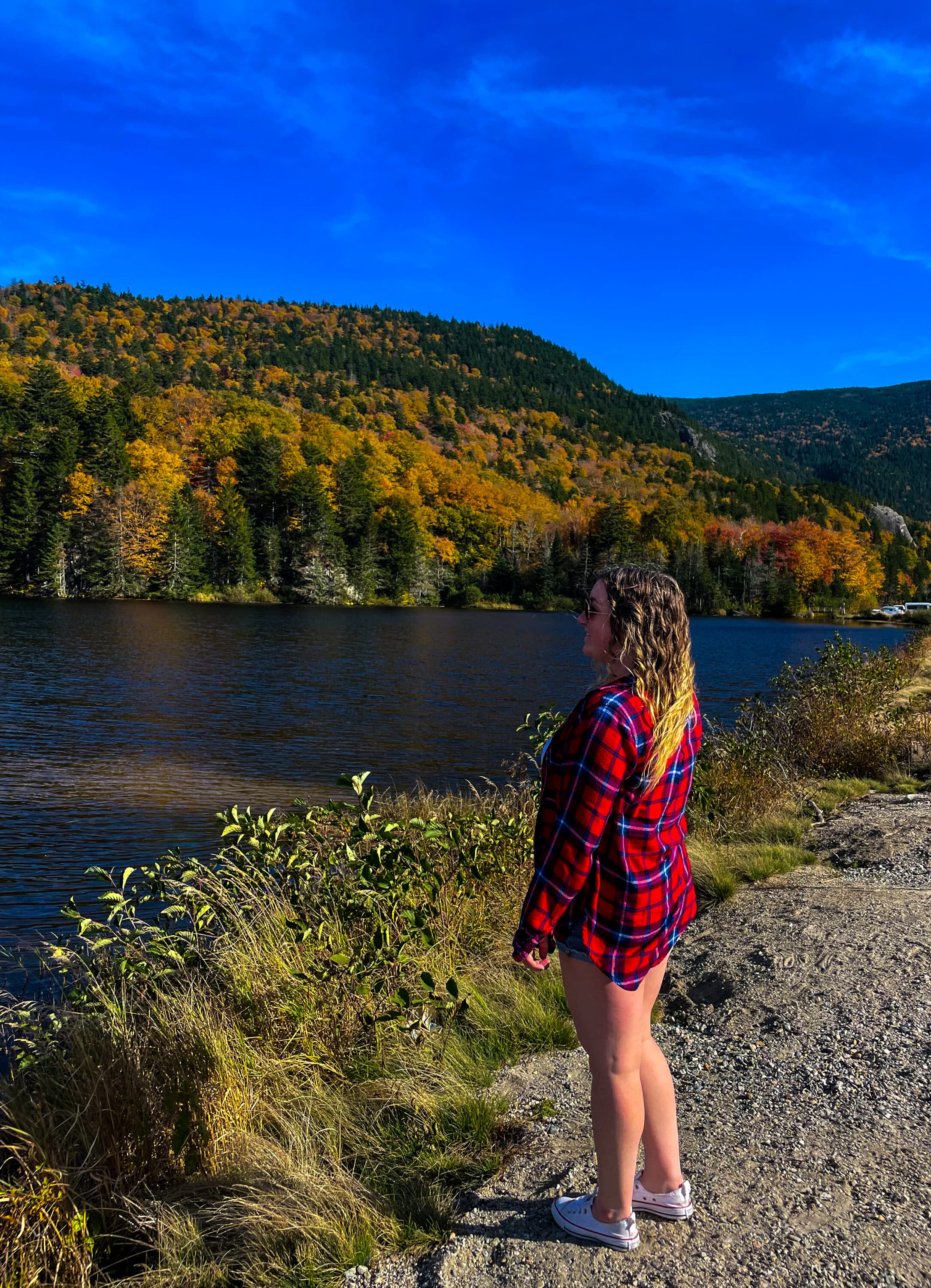 me in nh foliage