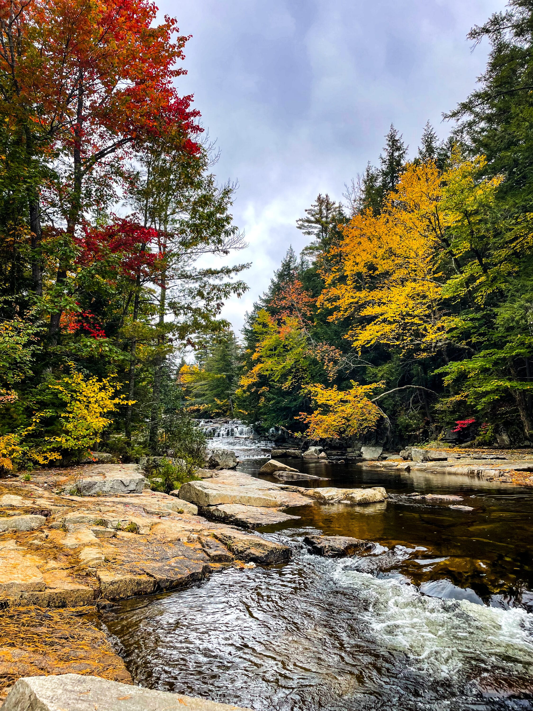 Jackson falls nh