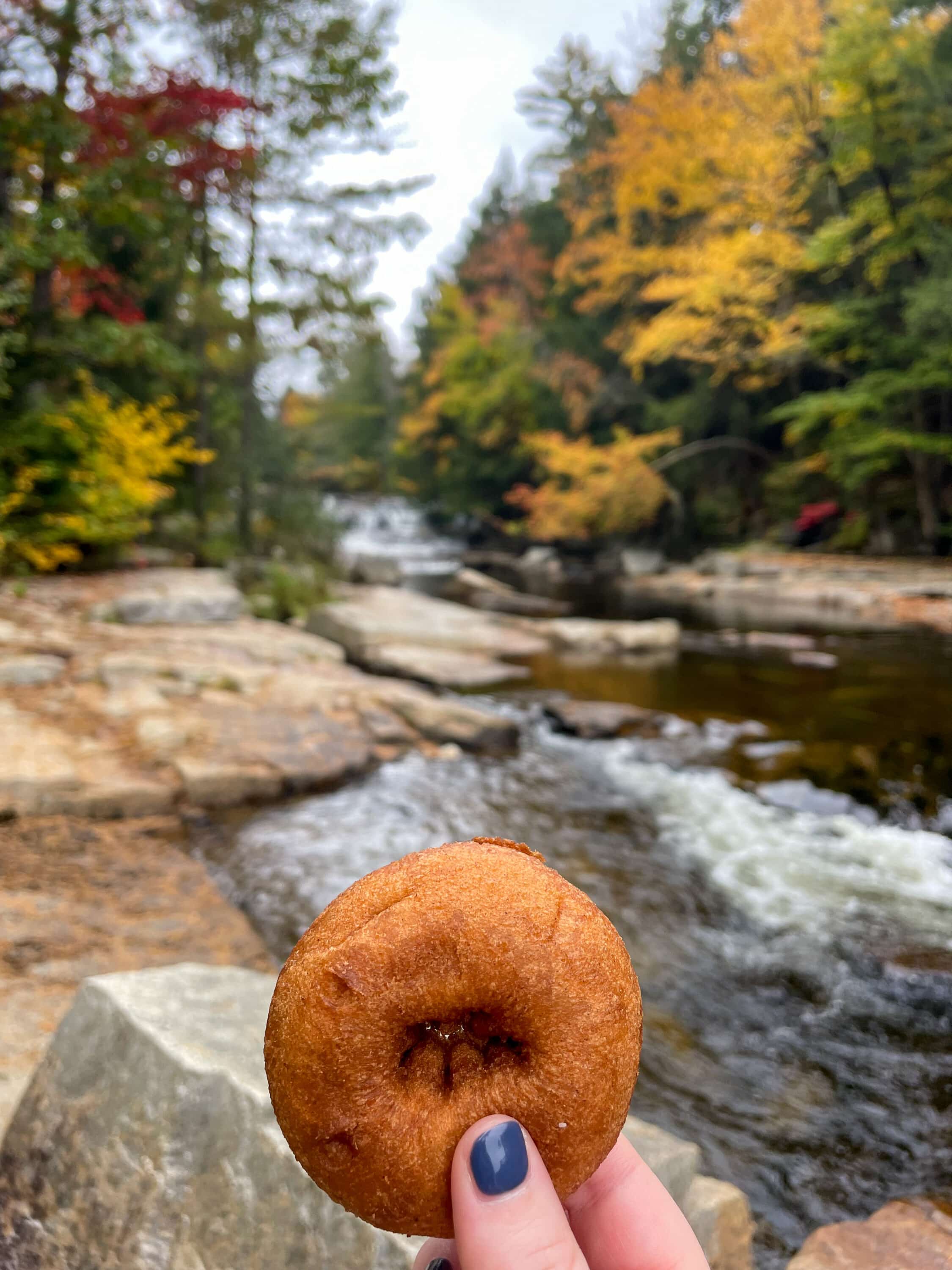 apple cider donuts new hampshire