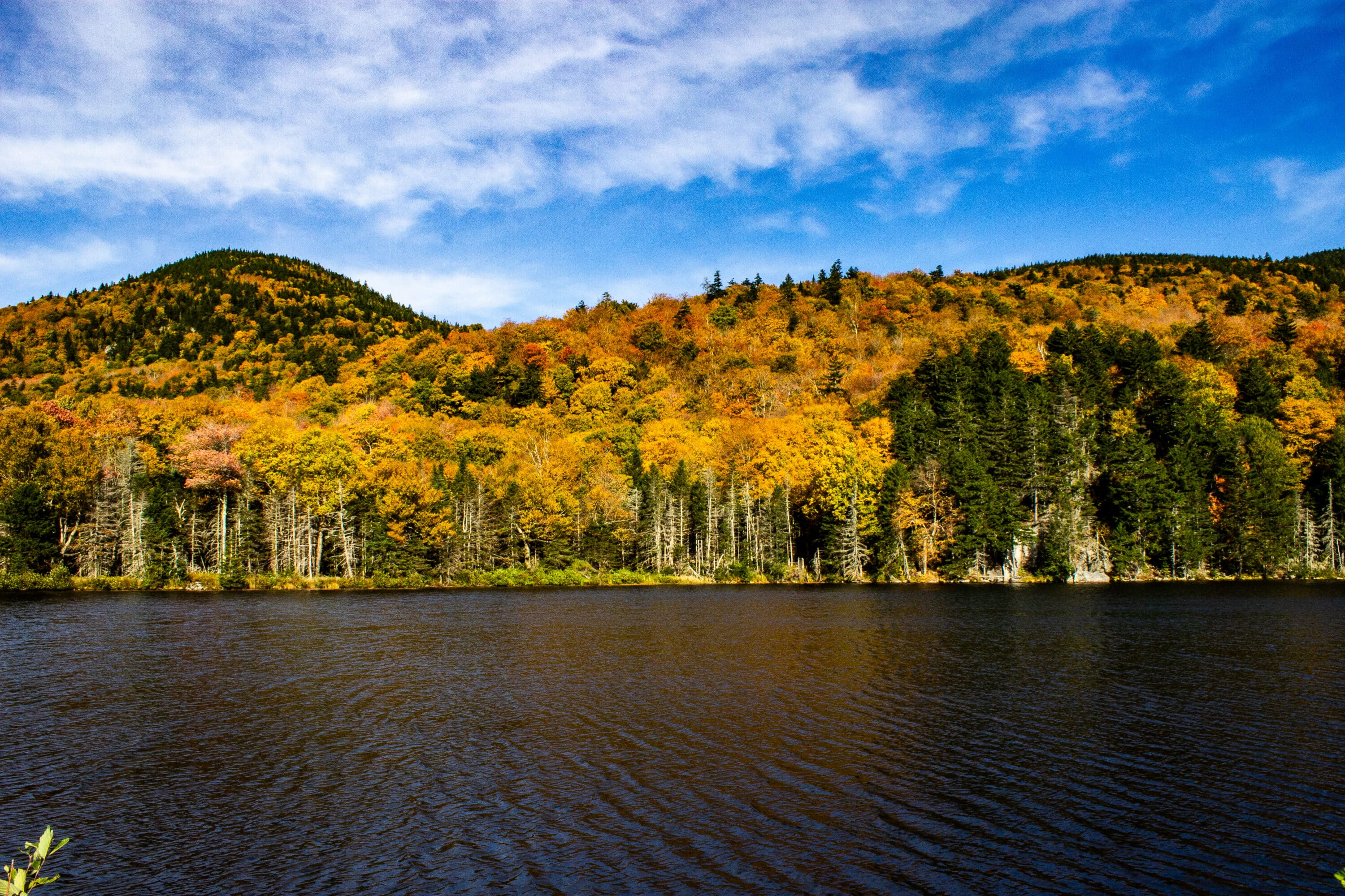 foliage lake new hampshire