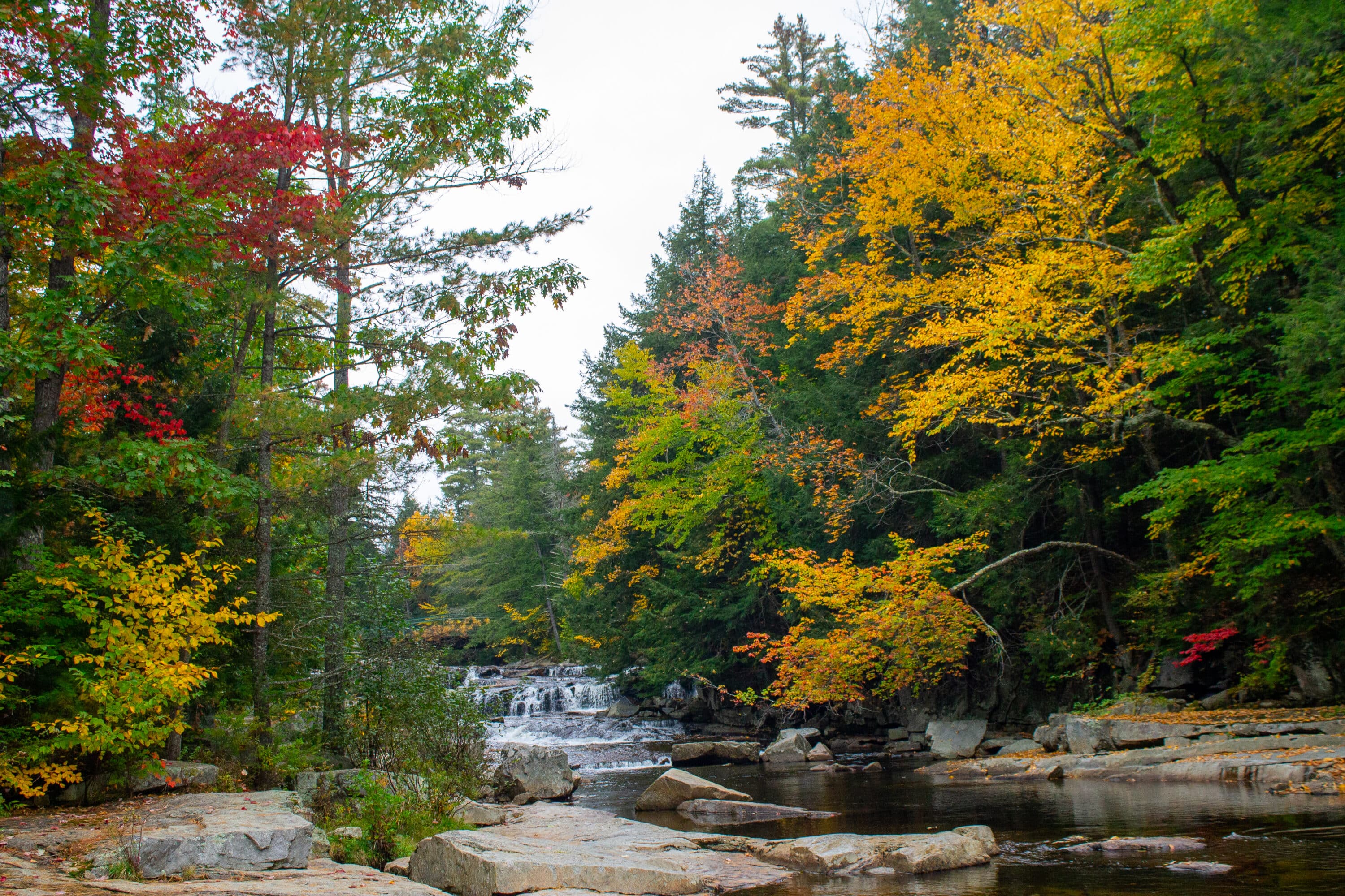 jackson falls foliage