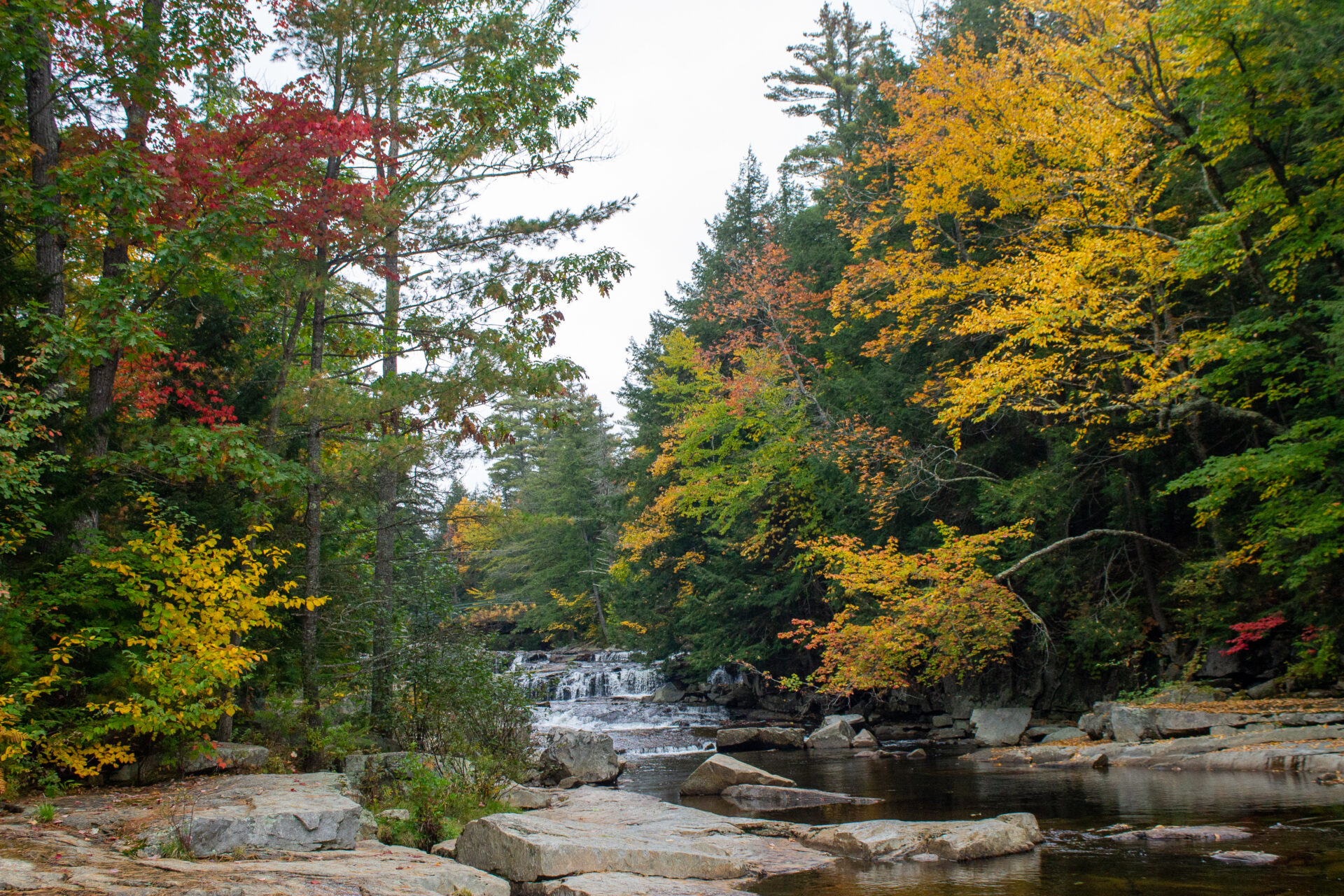 jackson falls foliage