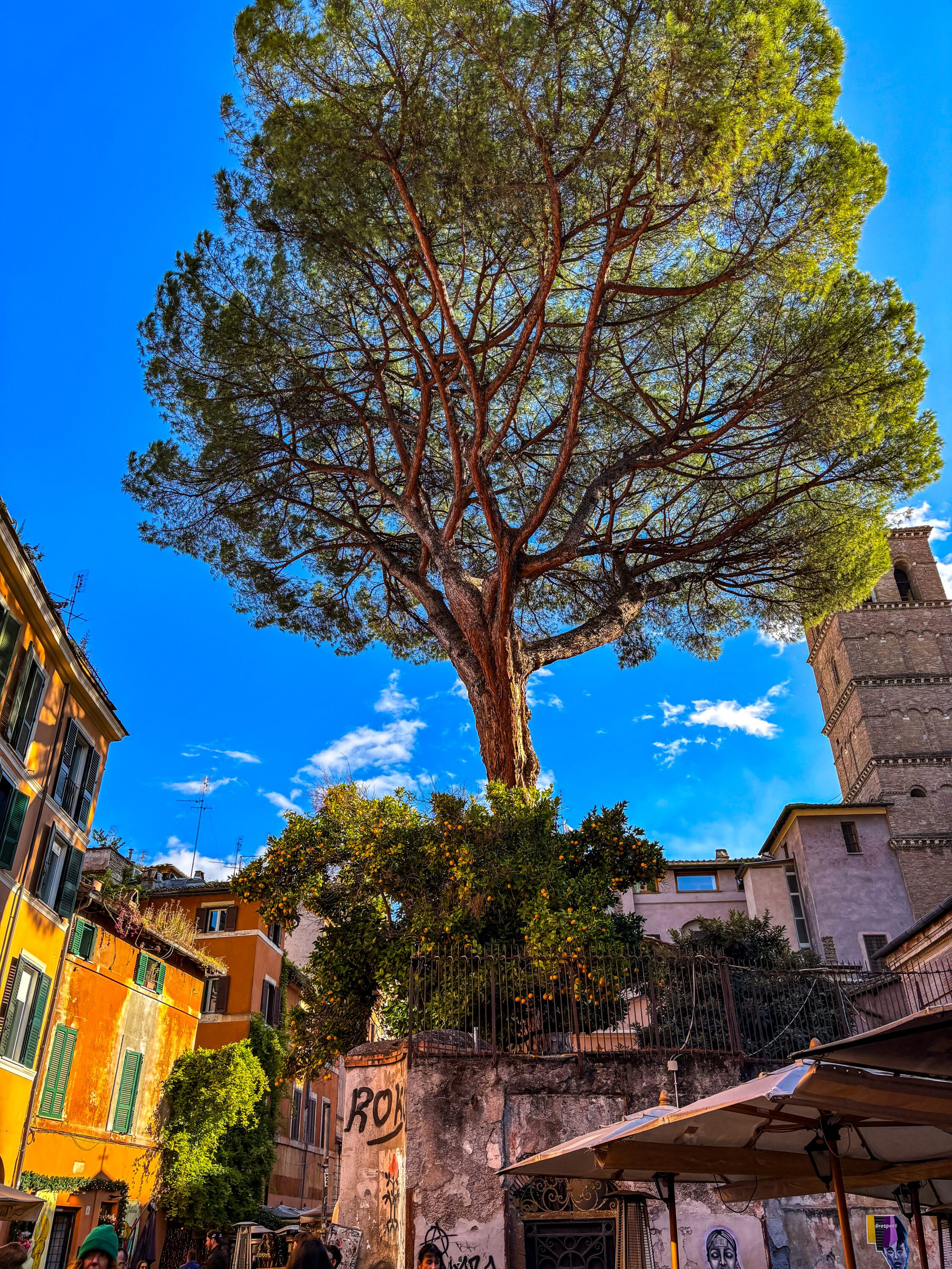 trastevere 