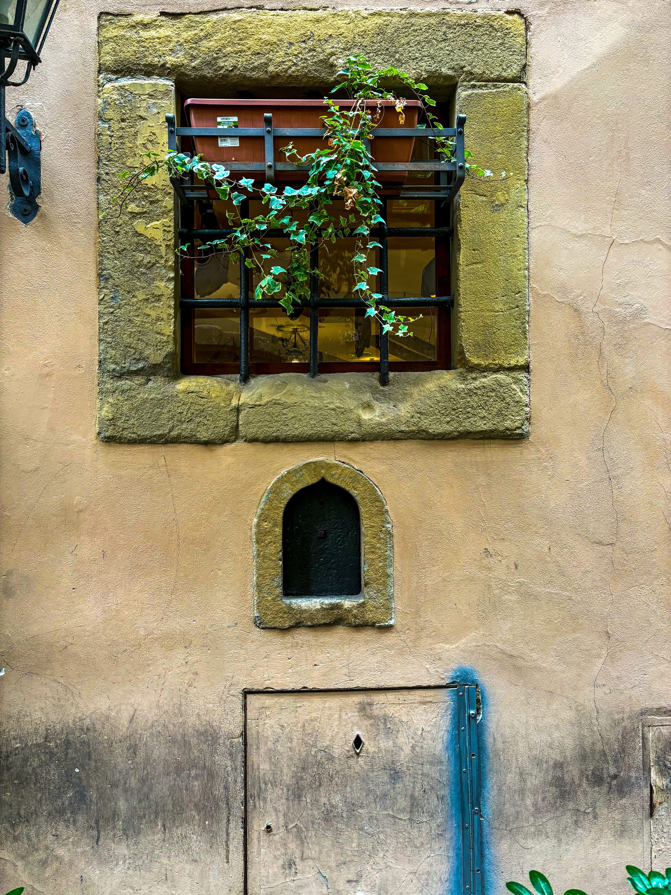 wine window florence