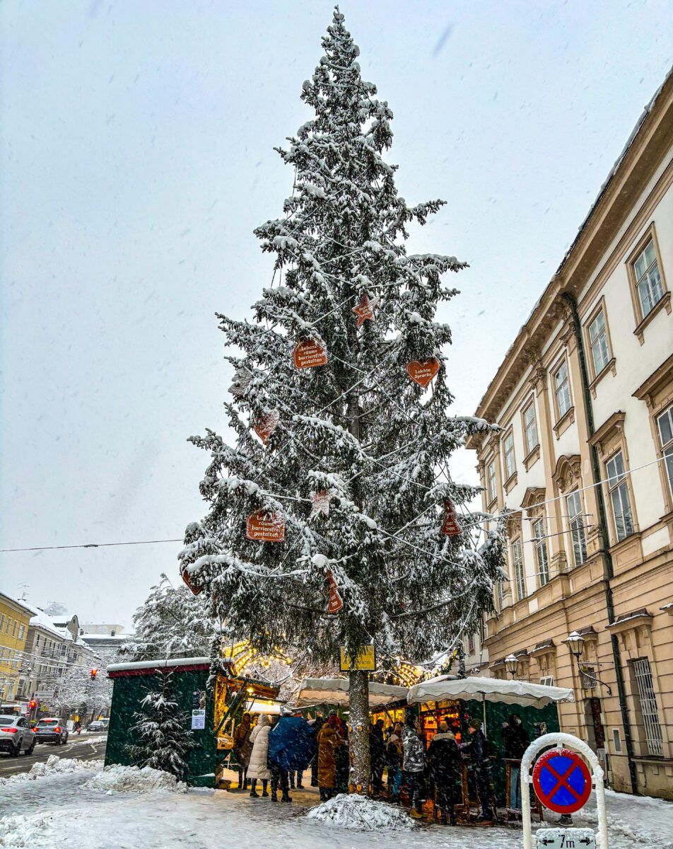 Mirabell Christmas Tree Salzburg