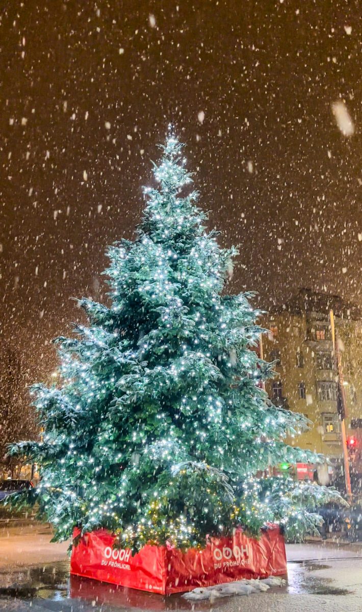 innsbruck christmas tree