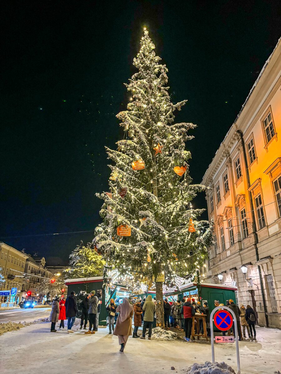 Mirabell Christmas Market Night