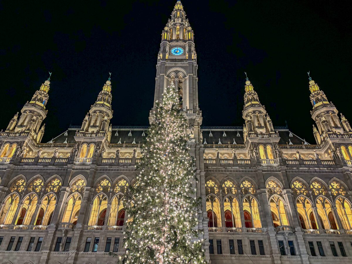 Vienna Christkindlmarkt Night