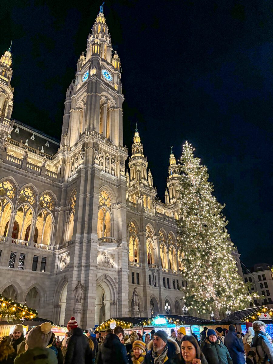 Vienna Christkindlmarkt Night