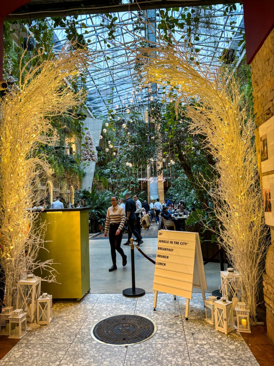 Budapest Jungle in the City