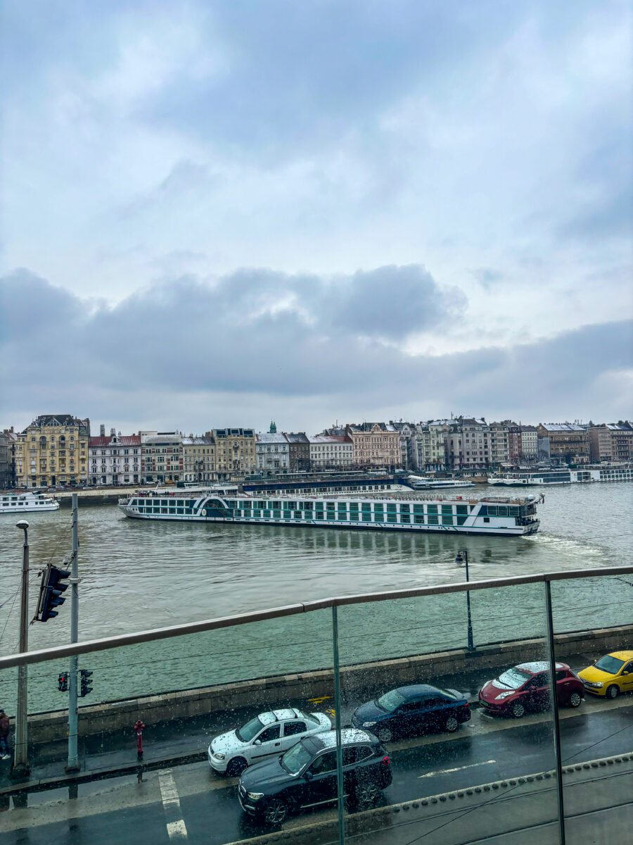 View from Rudas Baths Roof Budapest