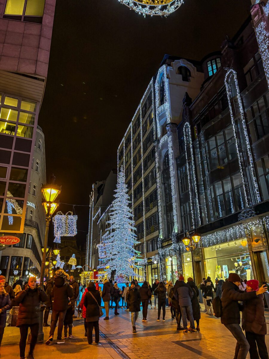 Budaepest Shopping Street Christmas