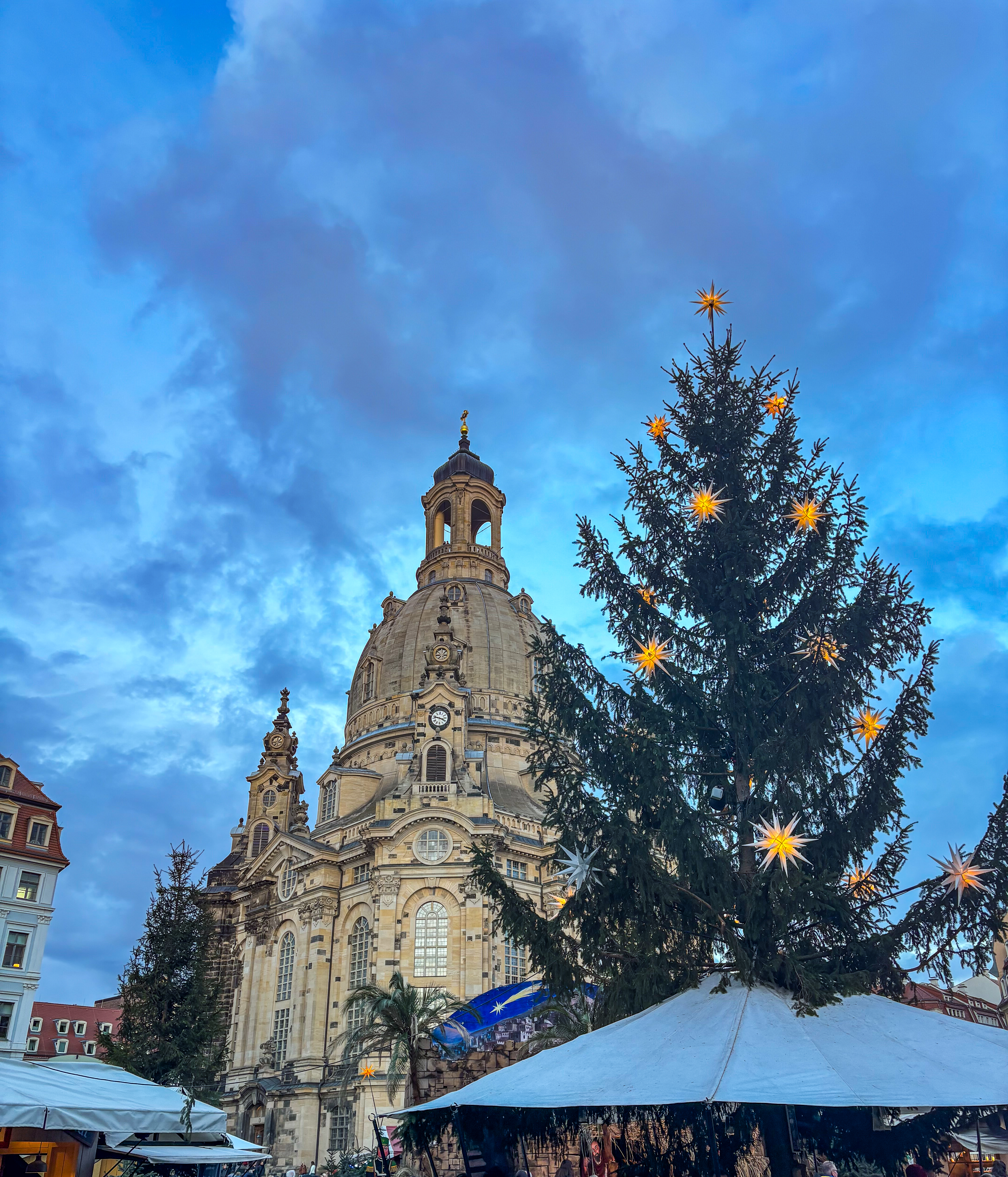 Advent at the Neumarkt Dresden