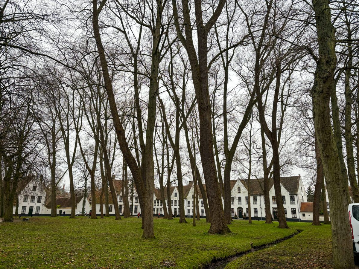 Beguinage "Ten Wijngaerde"