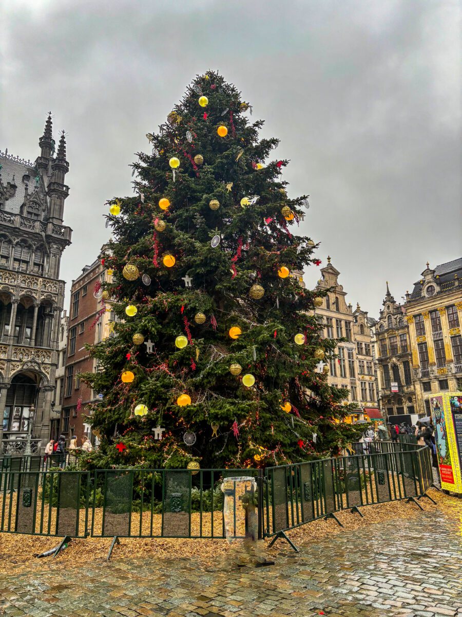 Brussels Grand Place Tree