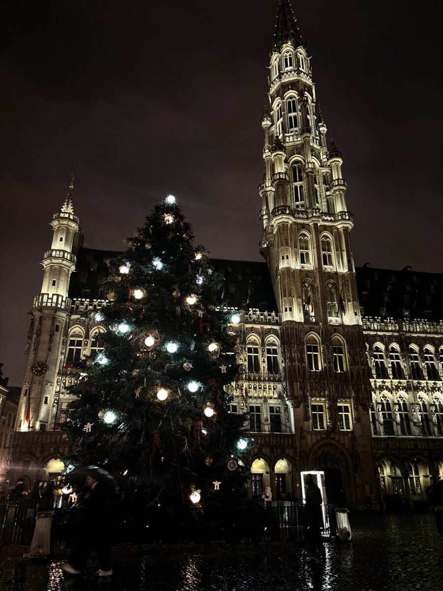 Grand Place Christmas Tree Night