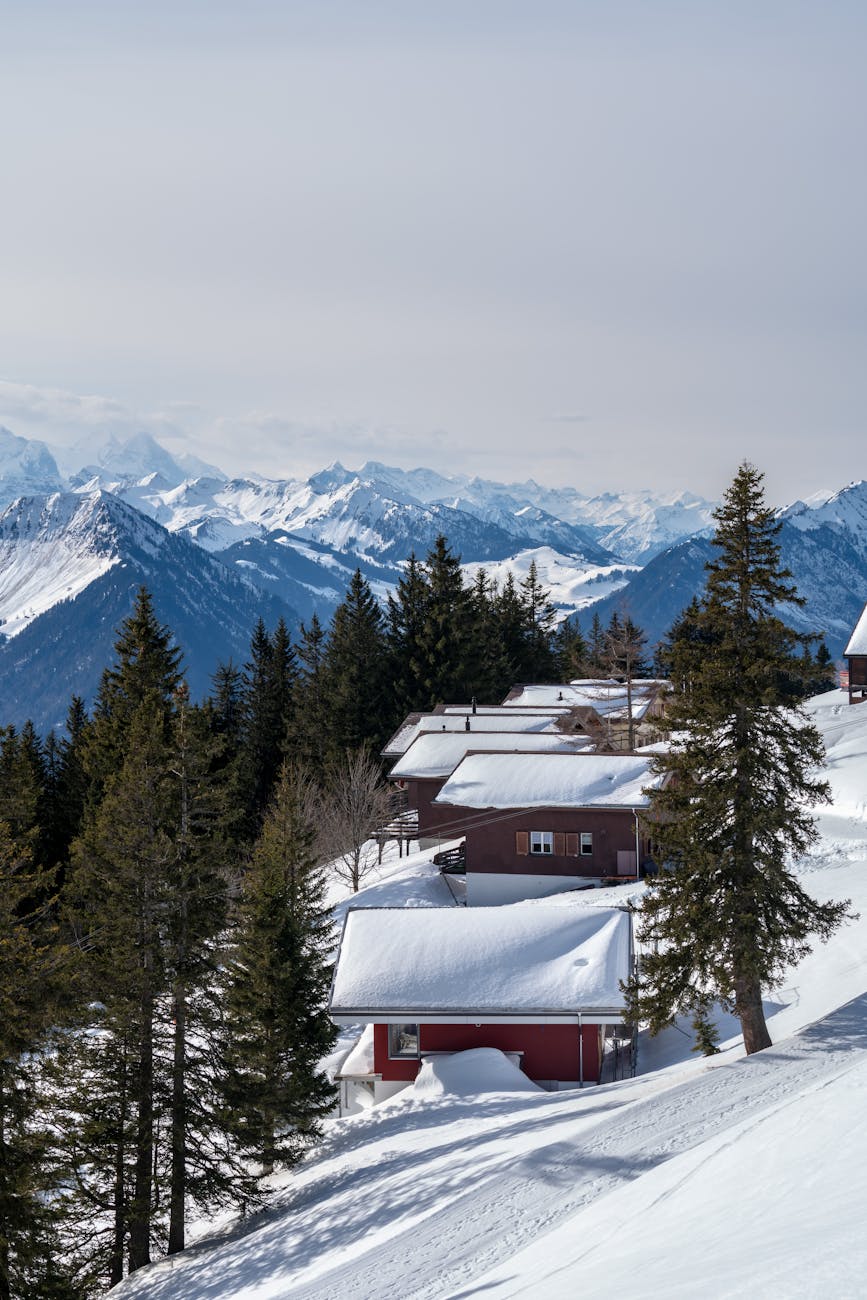 a snowy mountain with a cabin and snow covered trees