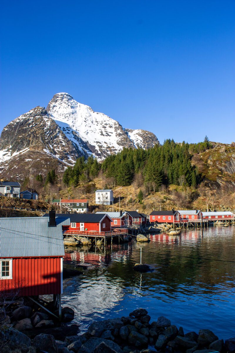 Nusfjord Cabins on the Harbor