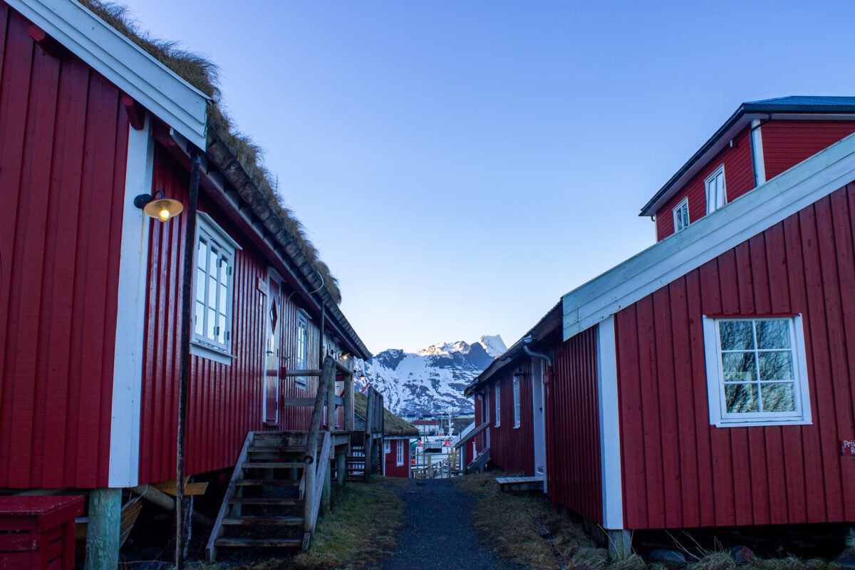 Reine Lofoten Fishing Cabins