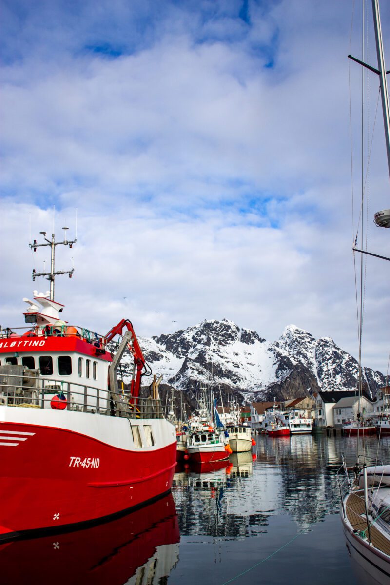 Henningsvær Harbor Winter
