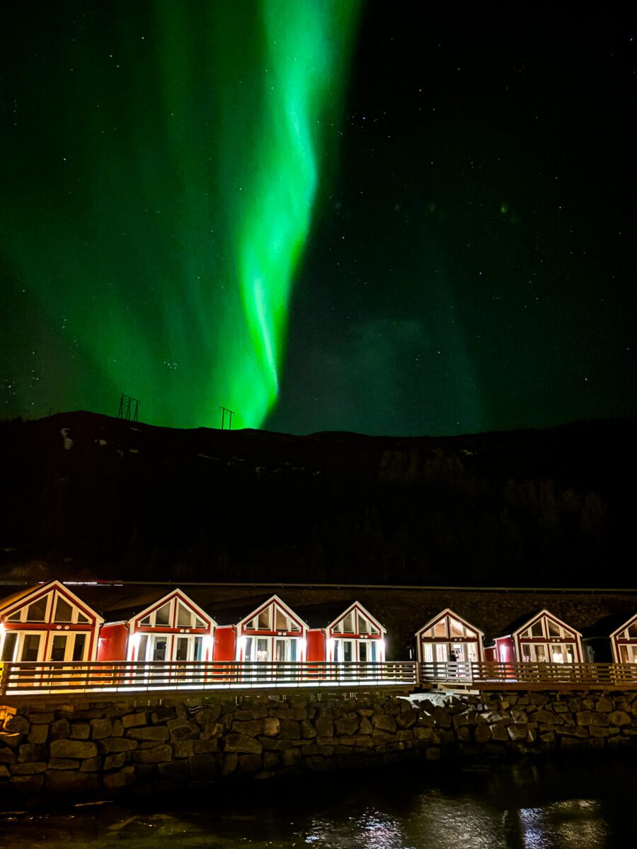 Northern Lights Leknes