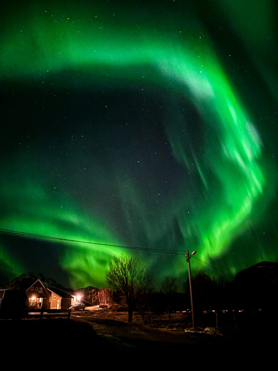 Leknes Norway Northern Lights