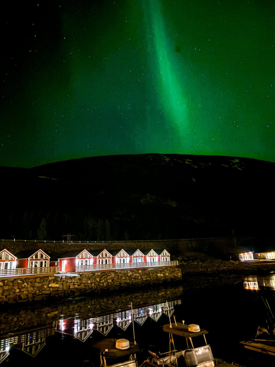 Lofoten Basecamp Northern Lights