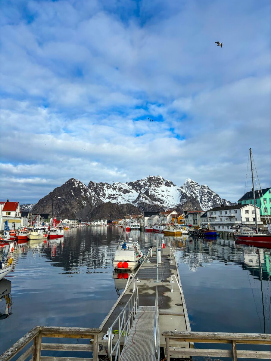 Henningsvær Harbor