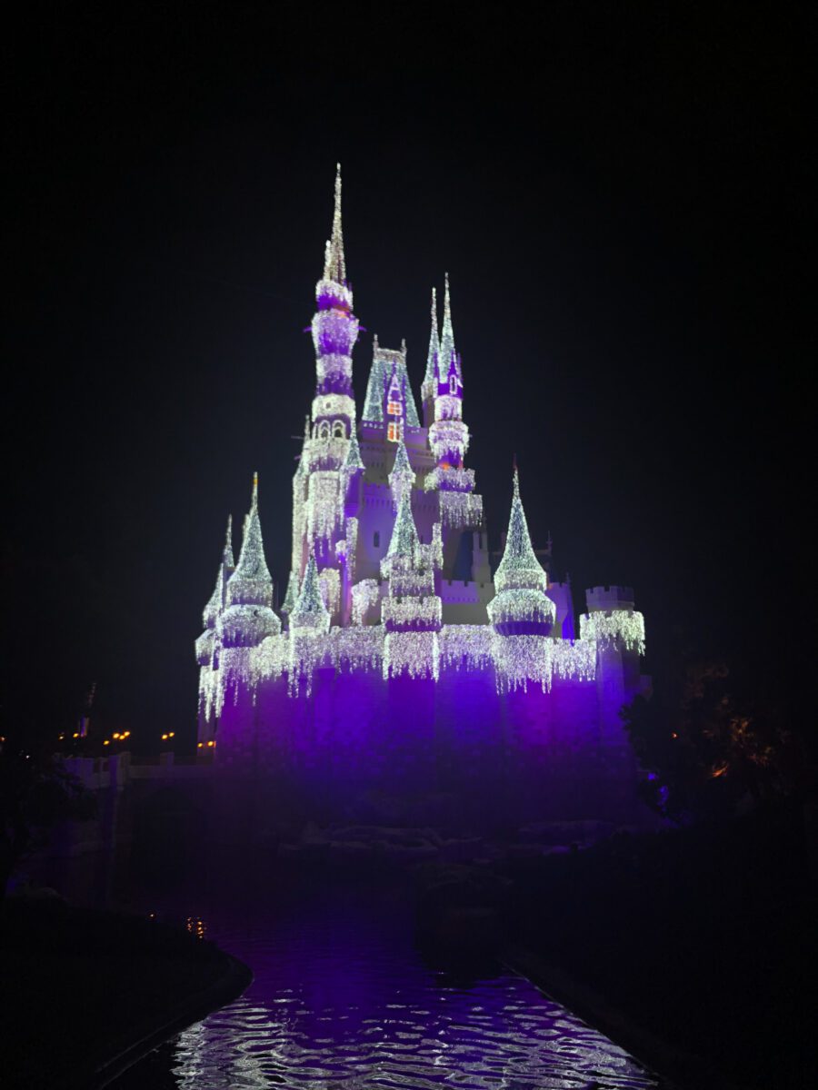 Disney Castle Night