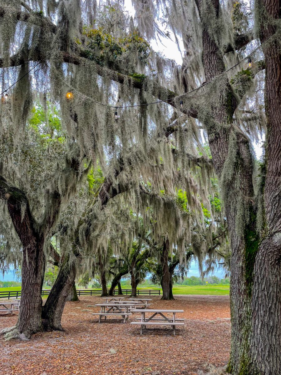 Villages Florida