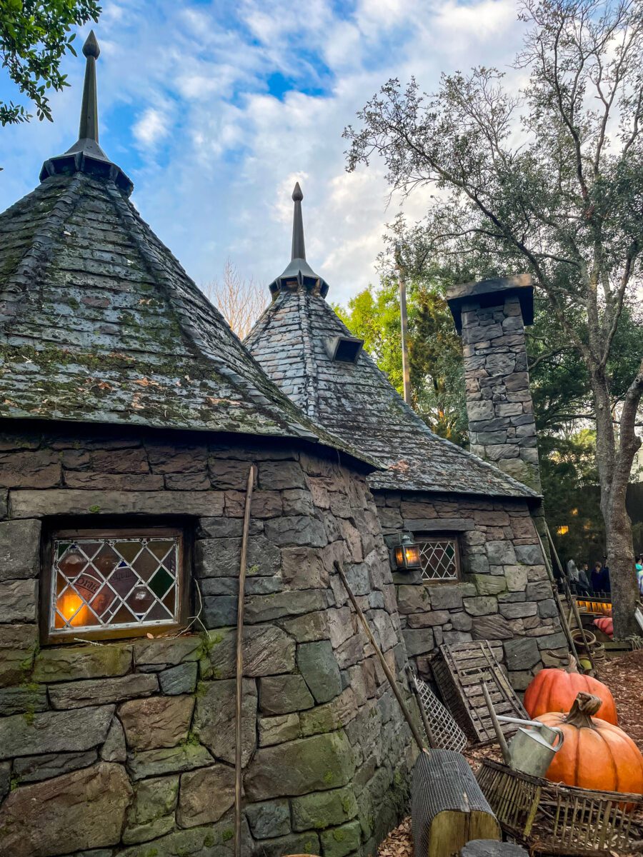 Hagrid's Hut Harry Potter World