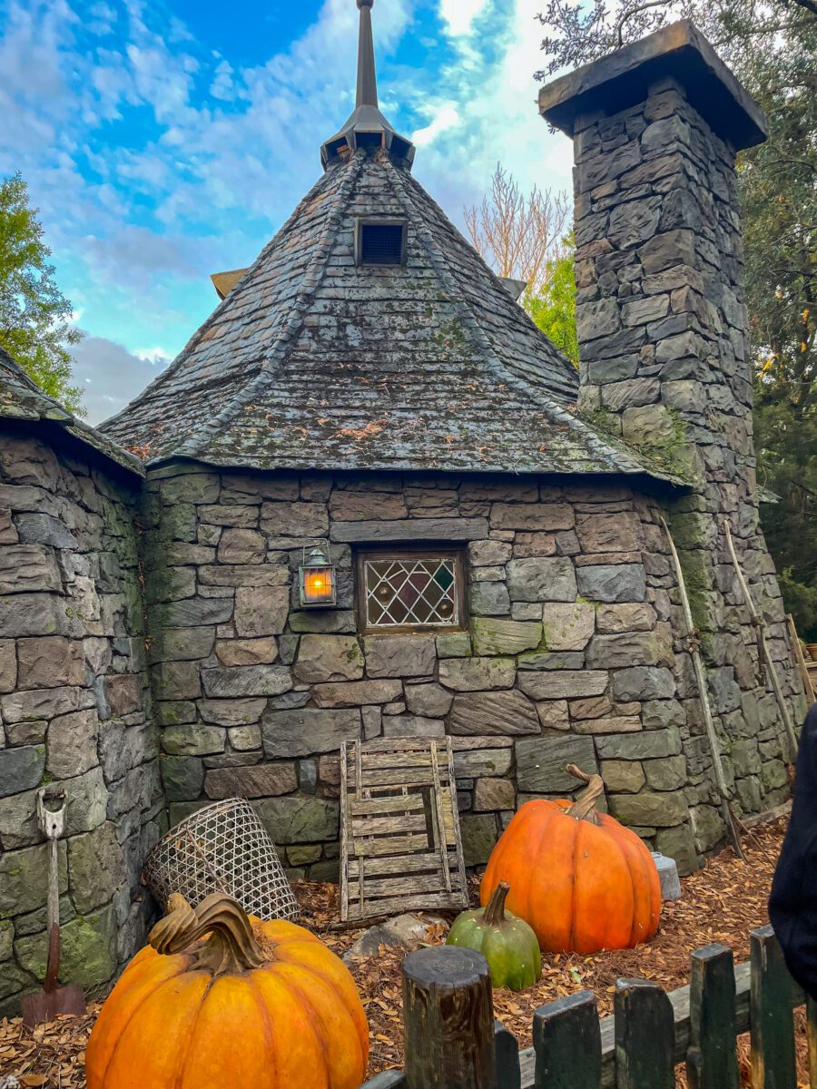 Hagrid's Hut Harry Potter World