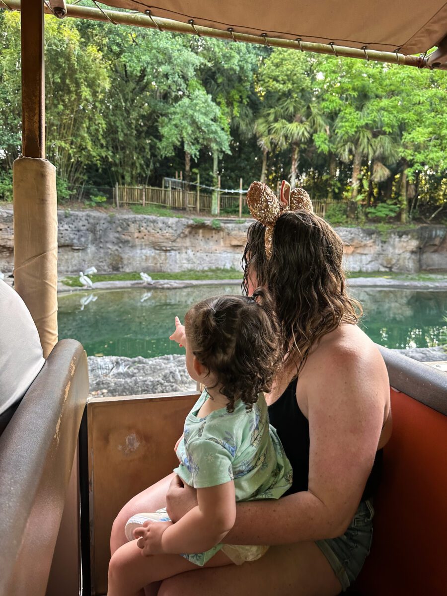 Animal Kingdom Disney World