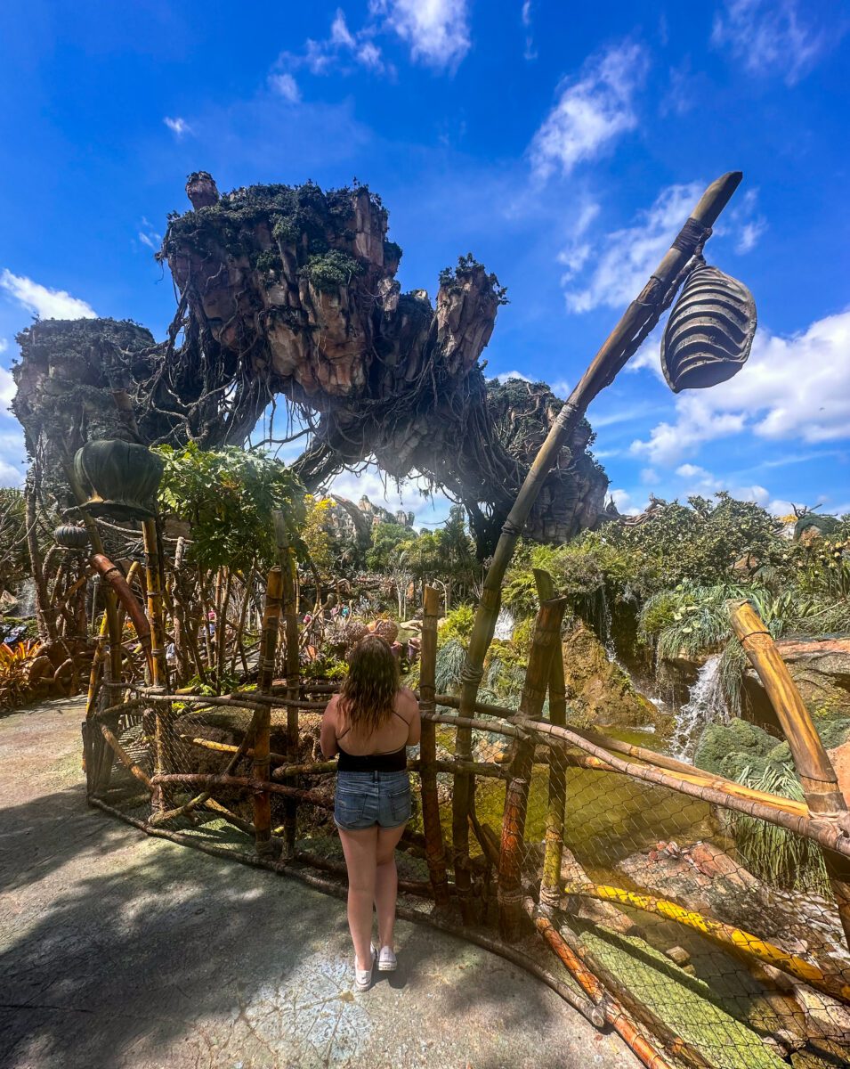 Pandora Animal Kingdom