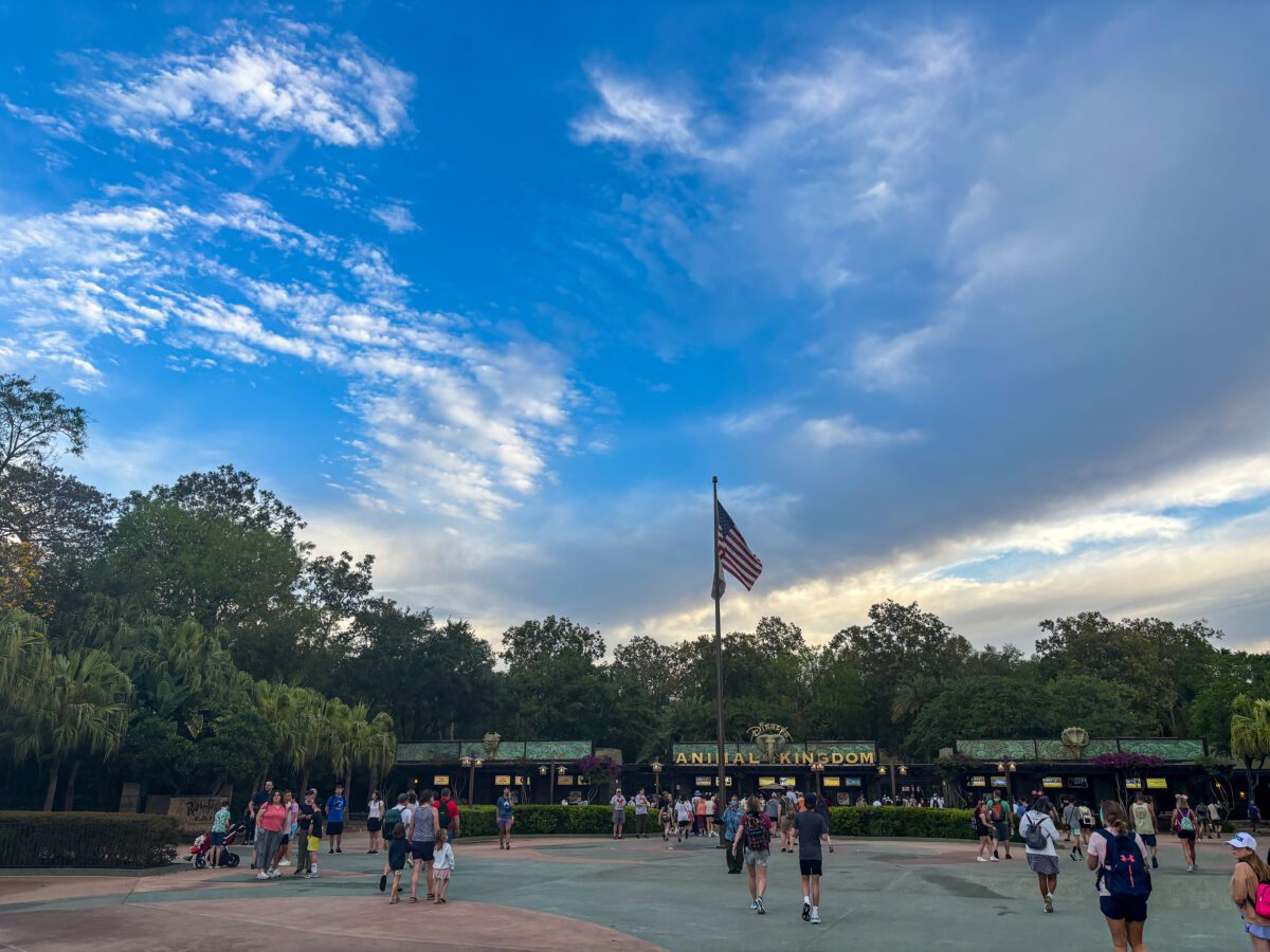 Animal Kingdom Disney World