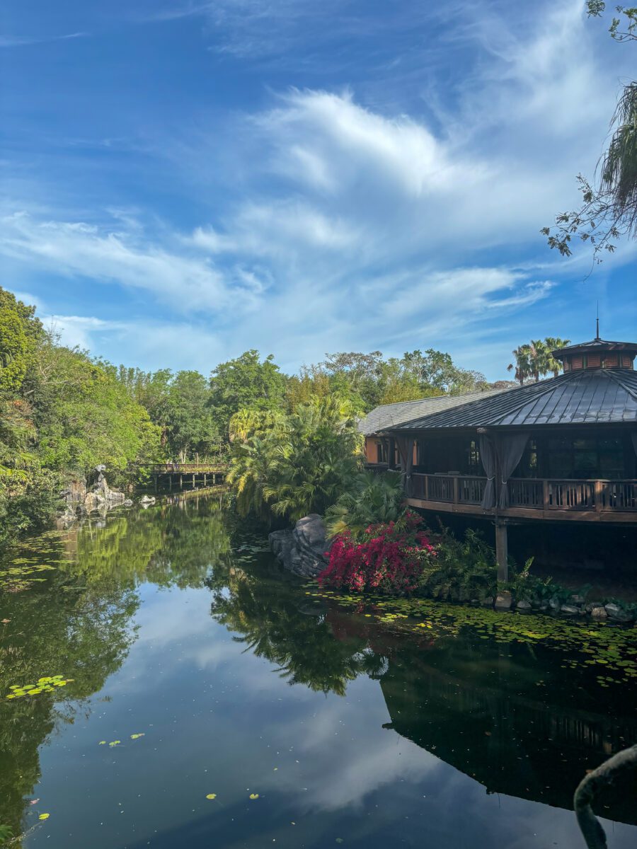 Animal Kingdom Restaurant