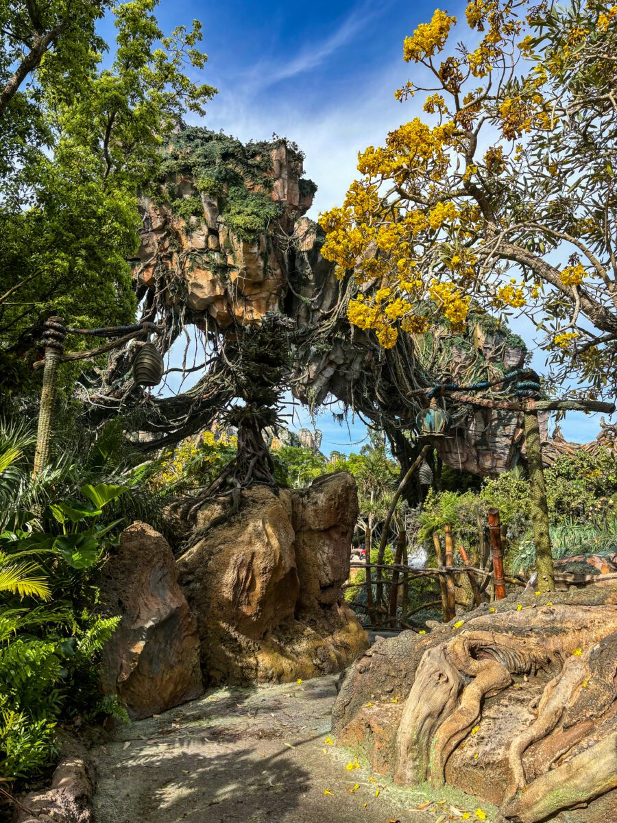 Avatar world Animal Kingdom
