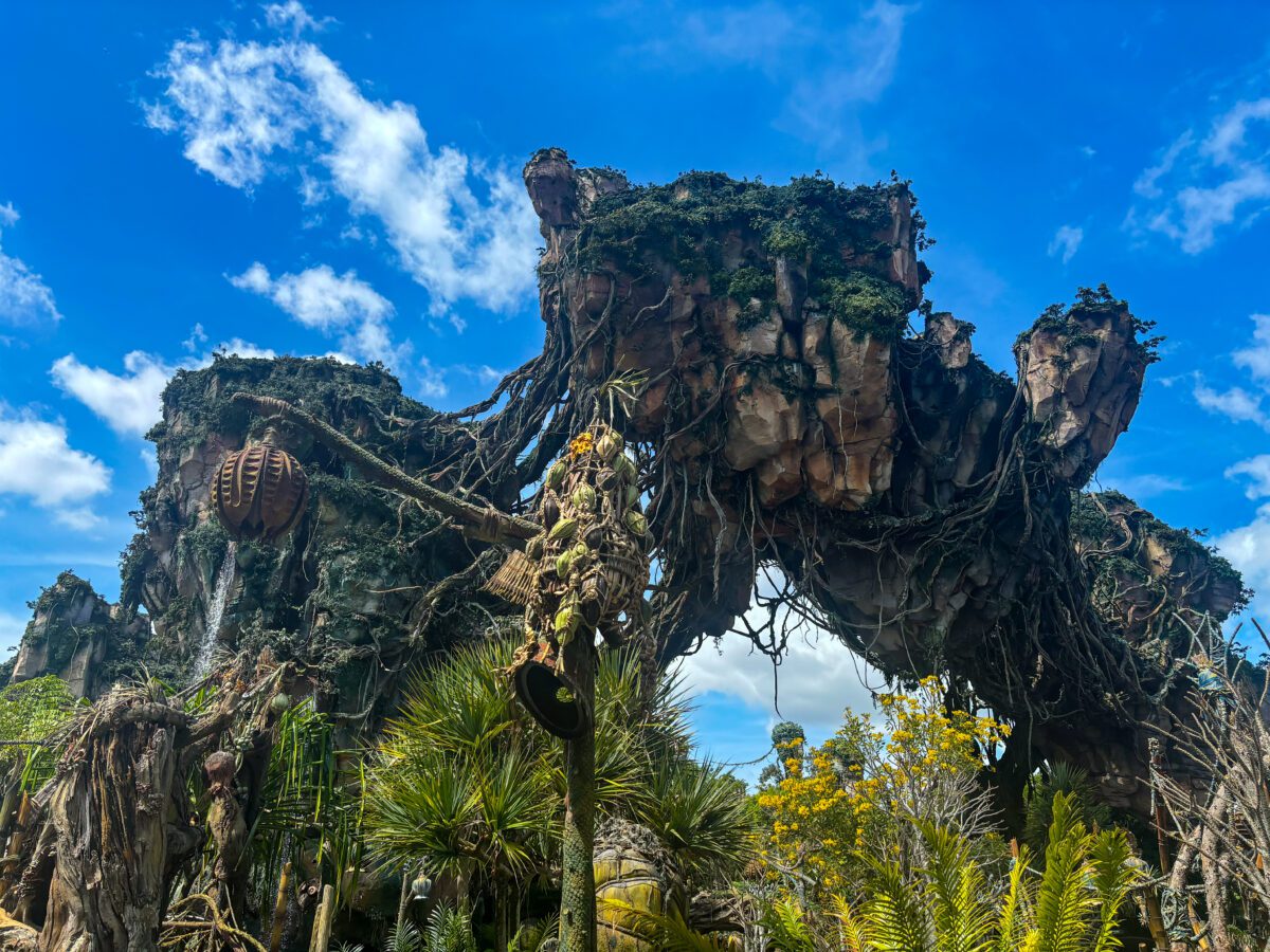 Avatar Pandora Animal Kingdom