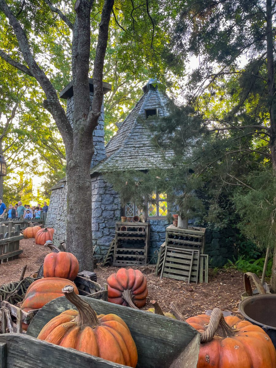 Hagrid's Hut Universal Orlando