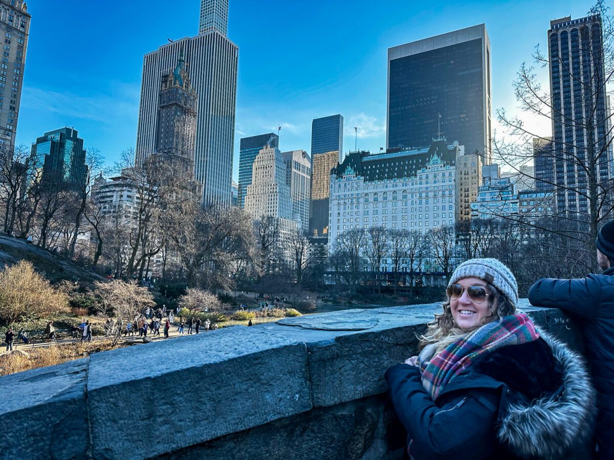Central Park VIews