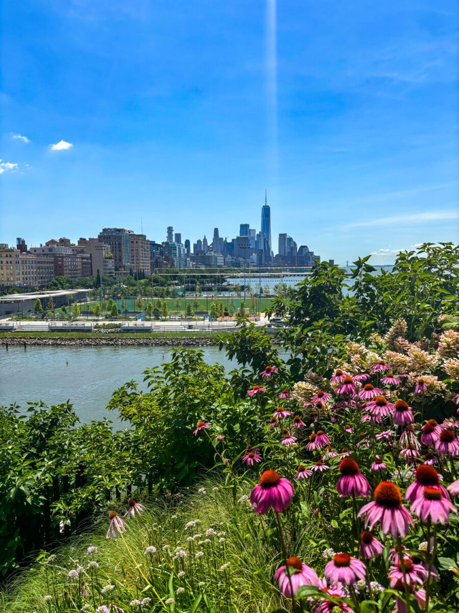 Highline Manhattan VIews