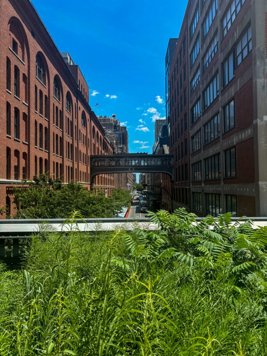 Highline New York City