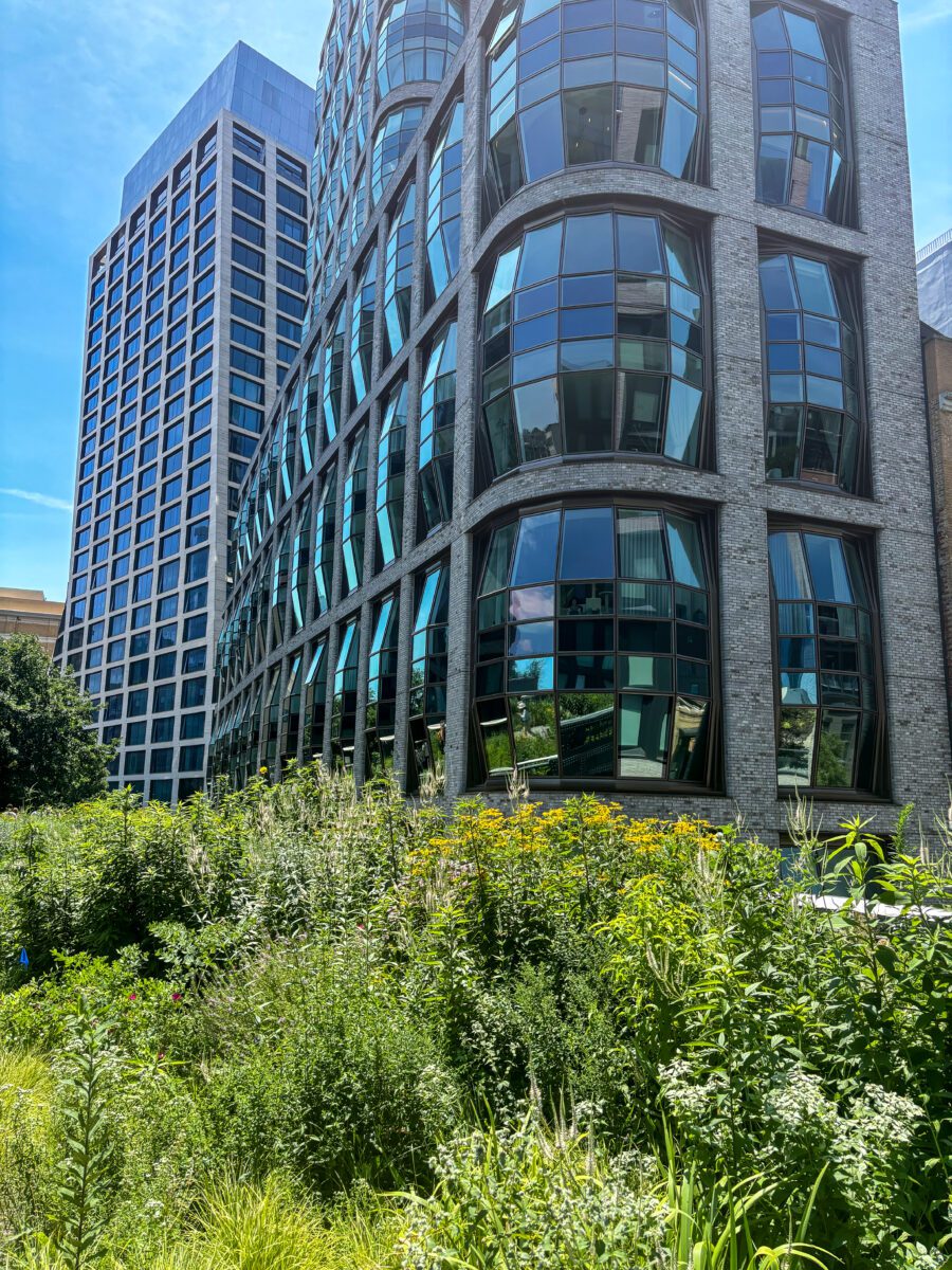 Highline New York City