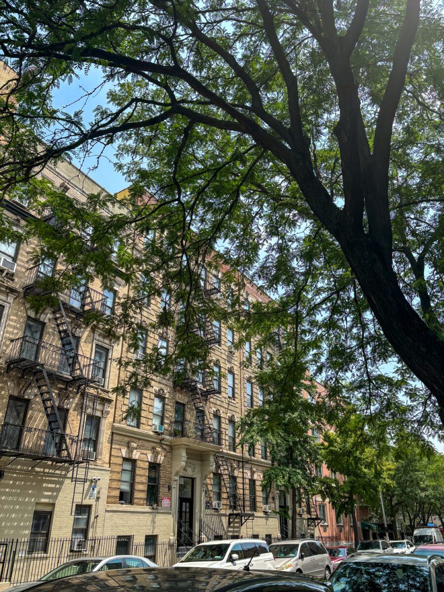 Williamsburg Street