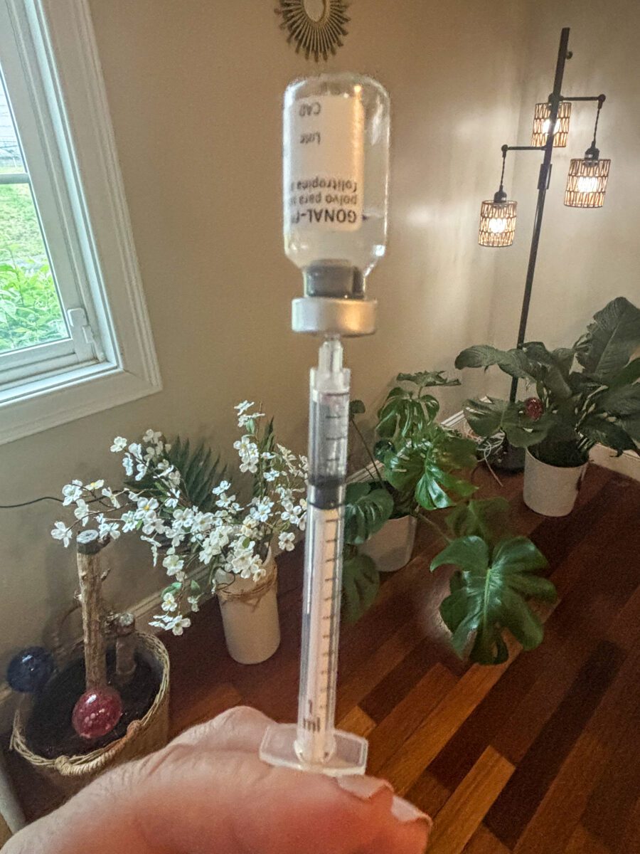 Egg Freezing Syringe