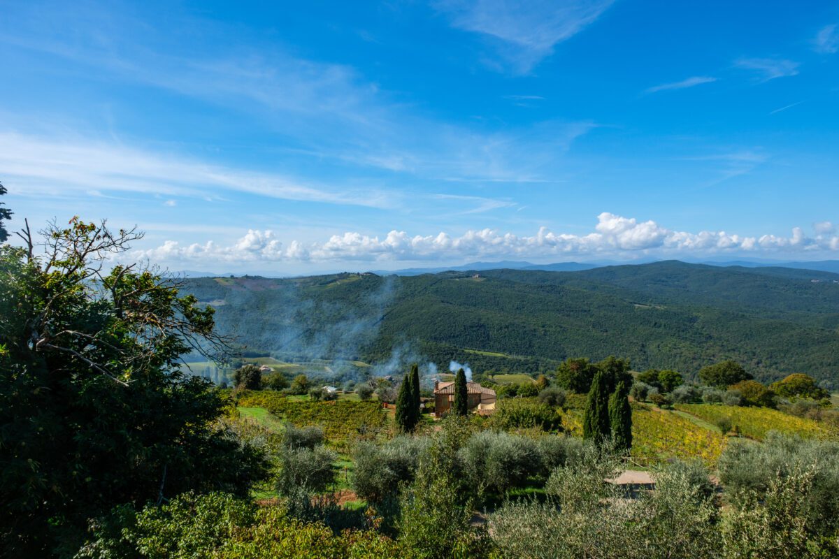 View from Montalcino